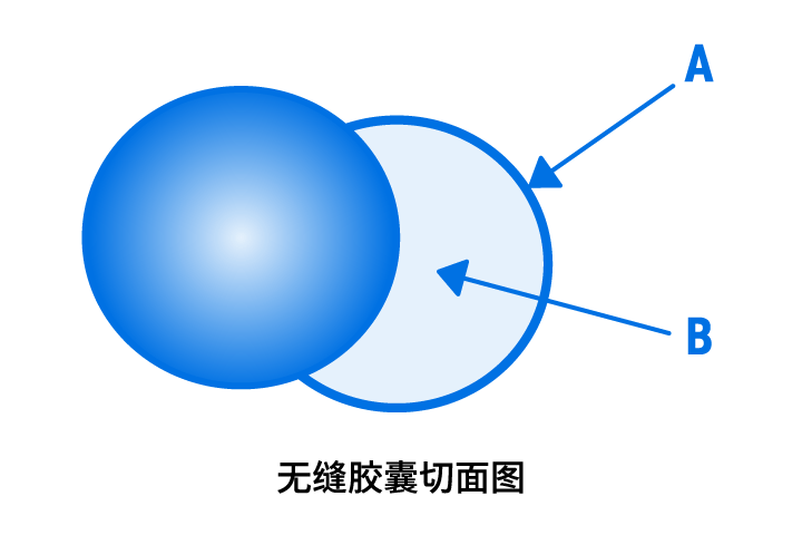 无缝胶囊的切面图