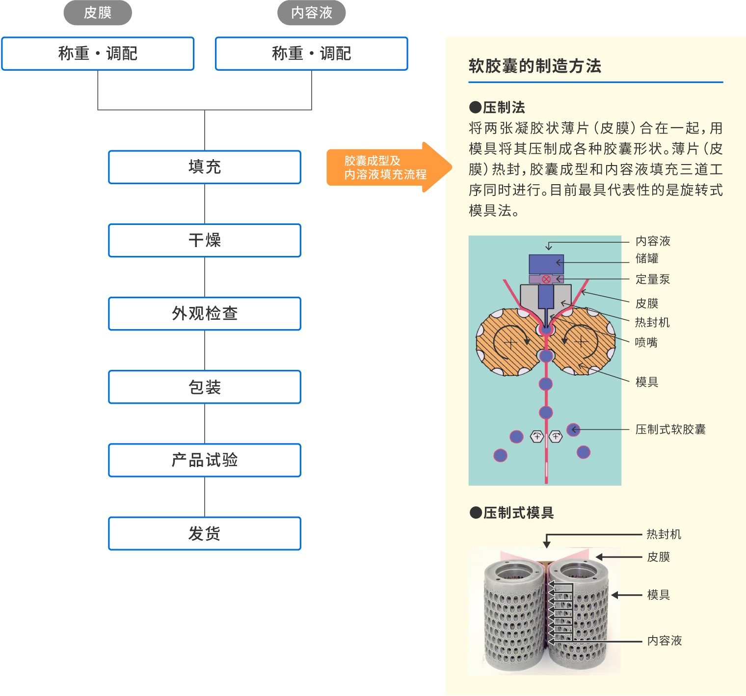软胶囊的制造方法 ●压制法　将两张凝胶状薄片（皮膜）合在一起，用模具将其压制成各种胶囊形状。薄片（皮膜）热封，胶囊成型和内容液填充三道工序同时进行。目前最具代表性的是旋转式模具法。　●压制式模具