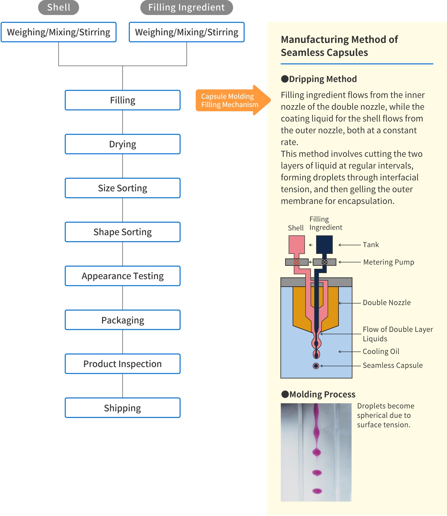 Manufacturing Method of Seamless Capsules　●Filling ingredient flows from the inner nozzle of the double nozzle, while the coating liquid for the shell flows from the outer nozzle, both at a constant rate.  This method involves cutting the two layers of liquid at regular intervals, forming droplets through interfacial tension, and then gelling the outer membrane for encapsulation.　●Molding Process