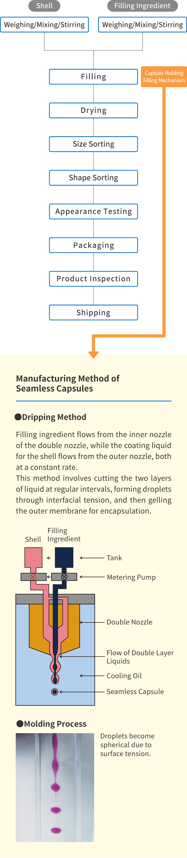 Manufacturing Method of Seamless Capsules　●Filling ingredient flows from the inner nozzle of the double nozzle, while the coating liquid for the shell flows from the outer nozzle, both at a constant rate.  This method involves cutting the two layers of liquid at regular intervals, forming droplets through interfacial tension, and then gelling the outer membrane for encapsulation.　●Molding Process