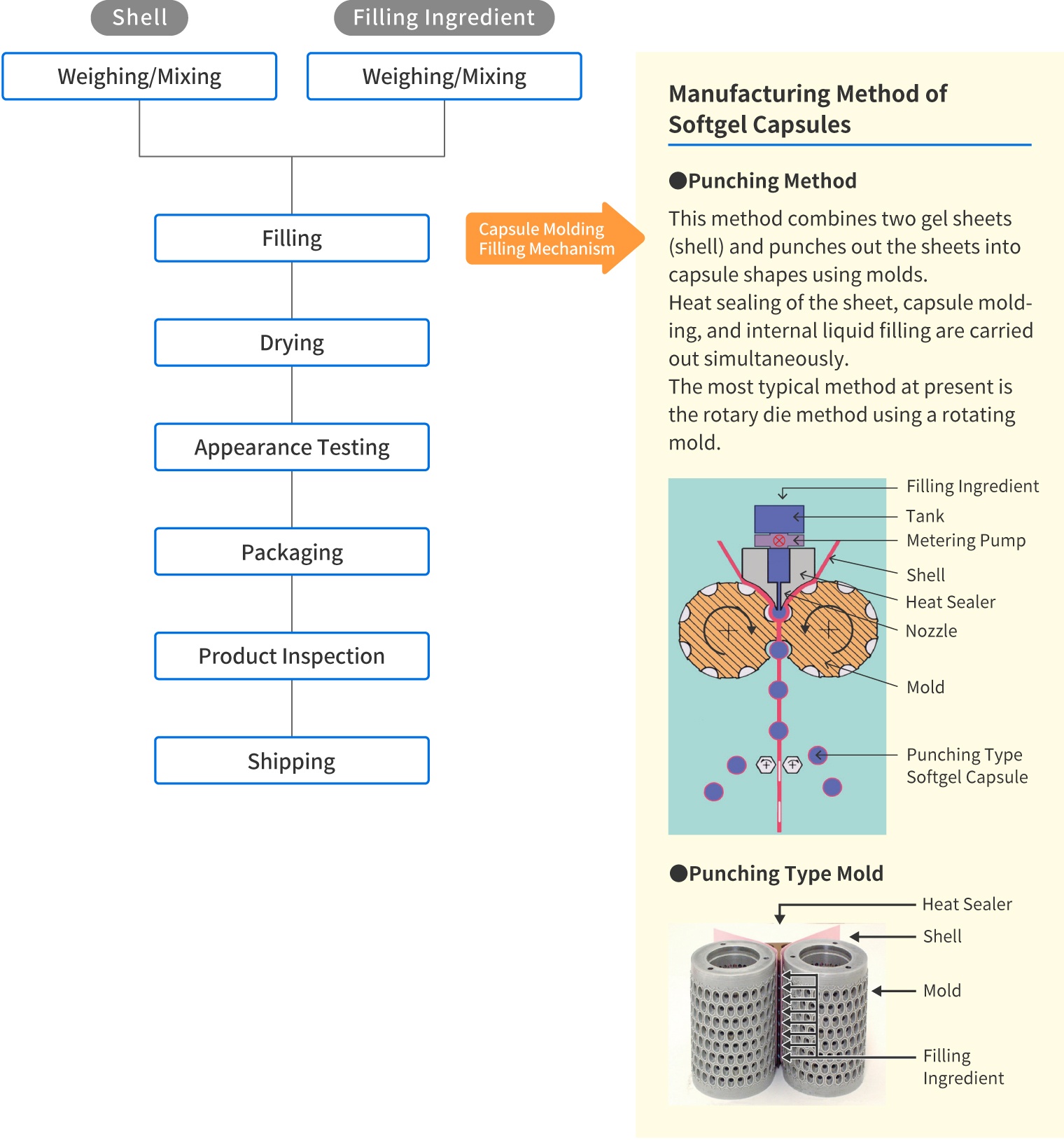 Manufacturing Method of Softgel Capsules ●Punching Method  This method combines two gel sheets (shell) and punches out the sheets into capsule shapes using molds.  Heat sealing of the sheet, capsule molding, and internal liquid filling are carried out simultaneously.  The most typical method at present is the rotary die method using a rotating mold. ●Punching Type Mold