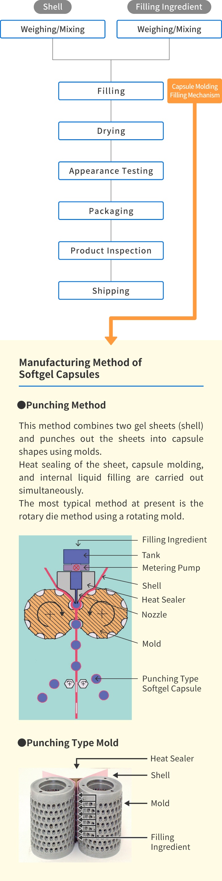 Manufacturing Method of Softgel Capsules ●Punching Method  This method combines two gel sheets (shell) and punches out the sheets into capsule shapes using molds.  Heat sealing of the sheet, capsule molding, and internal liquid filling are carried out simultaneously.  The most typical method at present is the rotary die method using a rotating mold. ●Punching Type Mold