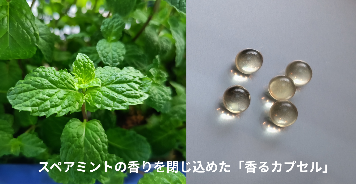 プレスリリース画像