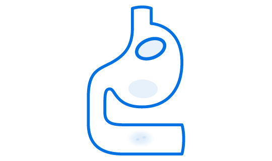 溶出性・吸収性