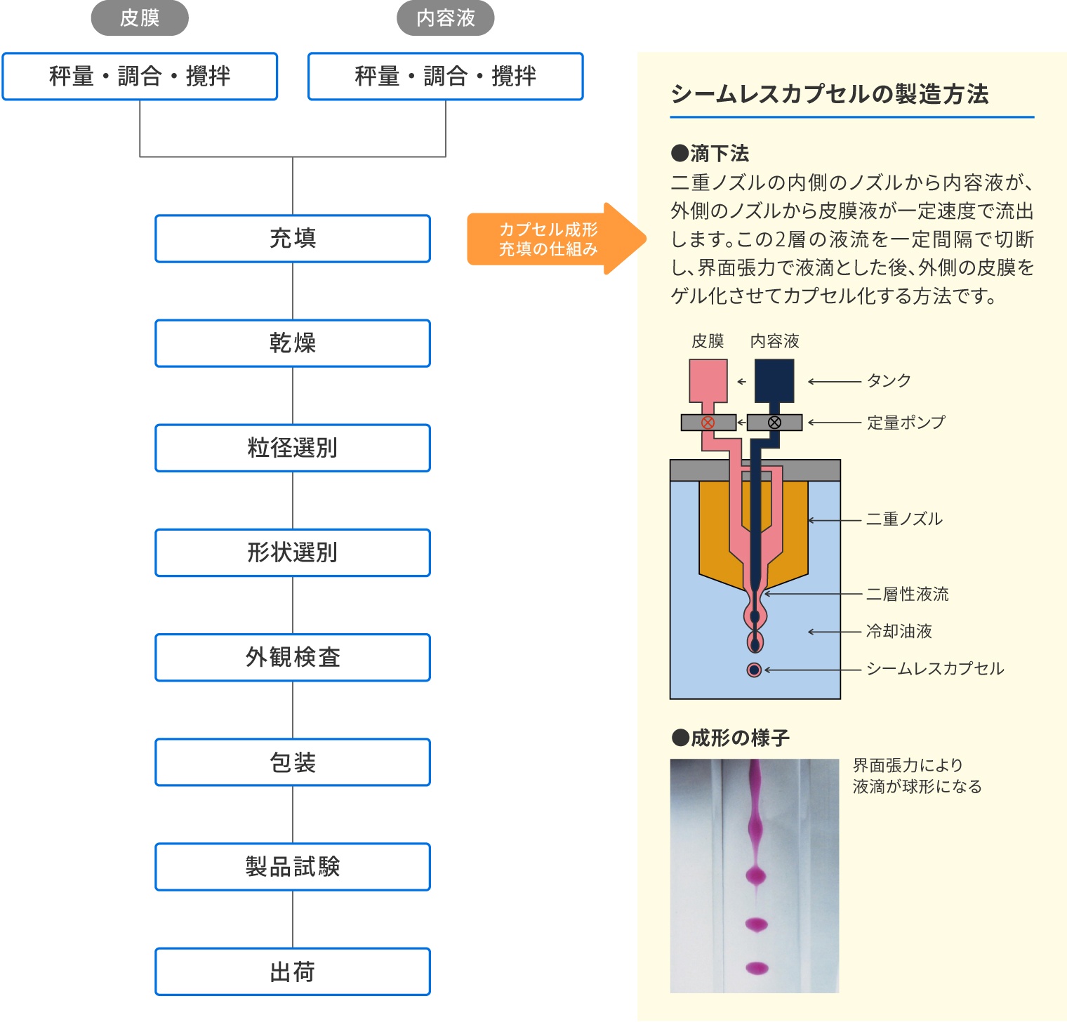 シームレスカプセルの製造方法　●滴下法 二重ノズルの内側のノズルから内容液が、外側のノズルから皮膜液が一定速度で流出します。この2層の液流を一定間隔で切断し、界面張力で液滴とした後、外側の被膜をゲル化させてカプセル化する方法です。　●成形の様子
