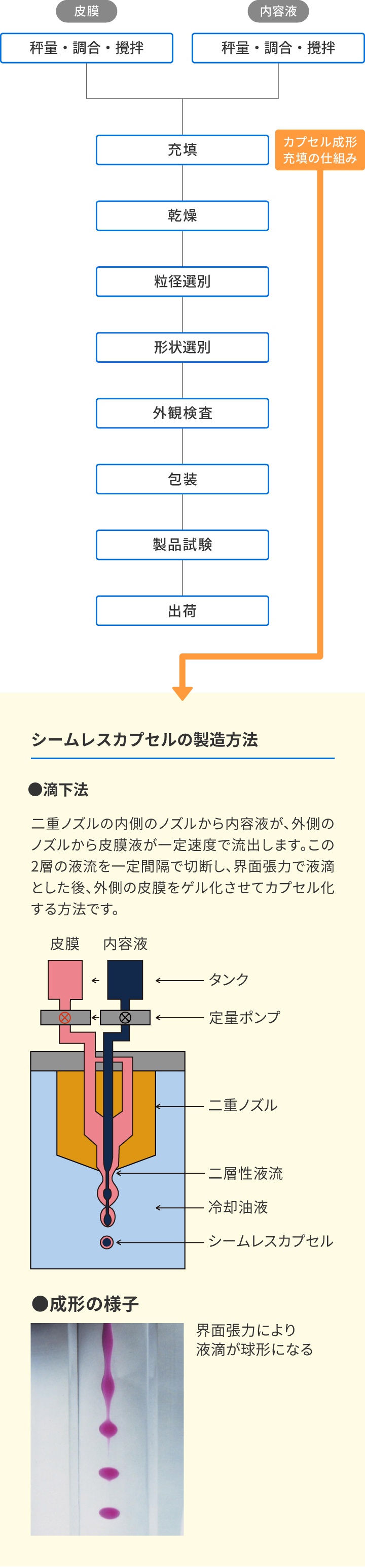 シームレスカプセルの製造方法　●滴下法 二重ノズルの内側のノズルから内容液が、外側のノズルから皮膜液が一定速度で流出します。この2層の液流を一定間隔で切断し、界面張力で液滴とした後、外側の被膜をゲル化させてカプセル化する方法です。　●成形の様子