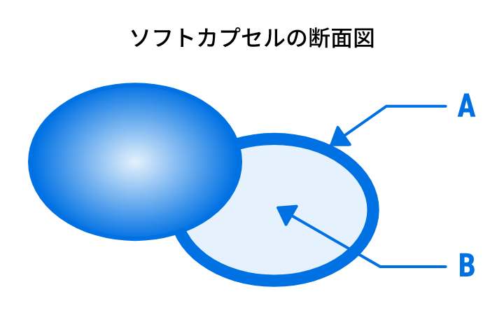 ソフトカプセルの断面図