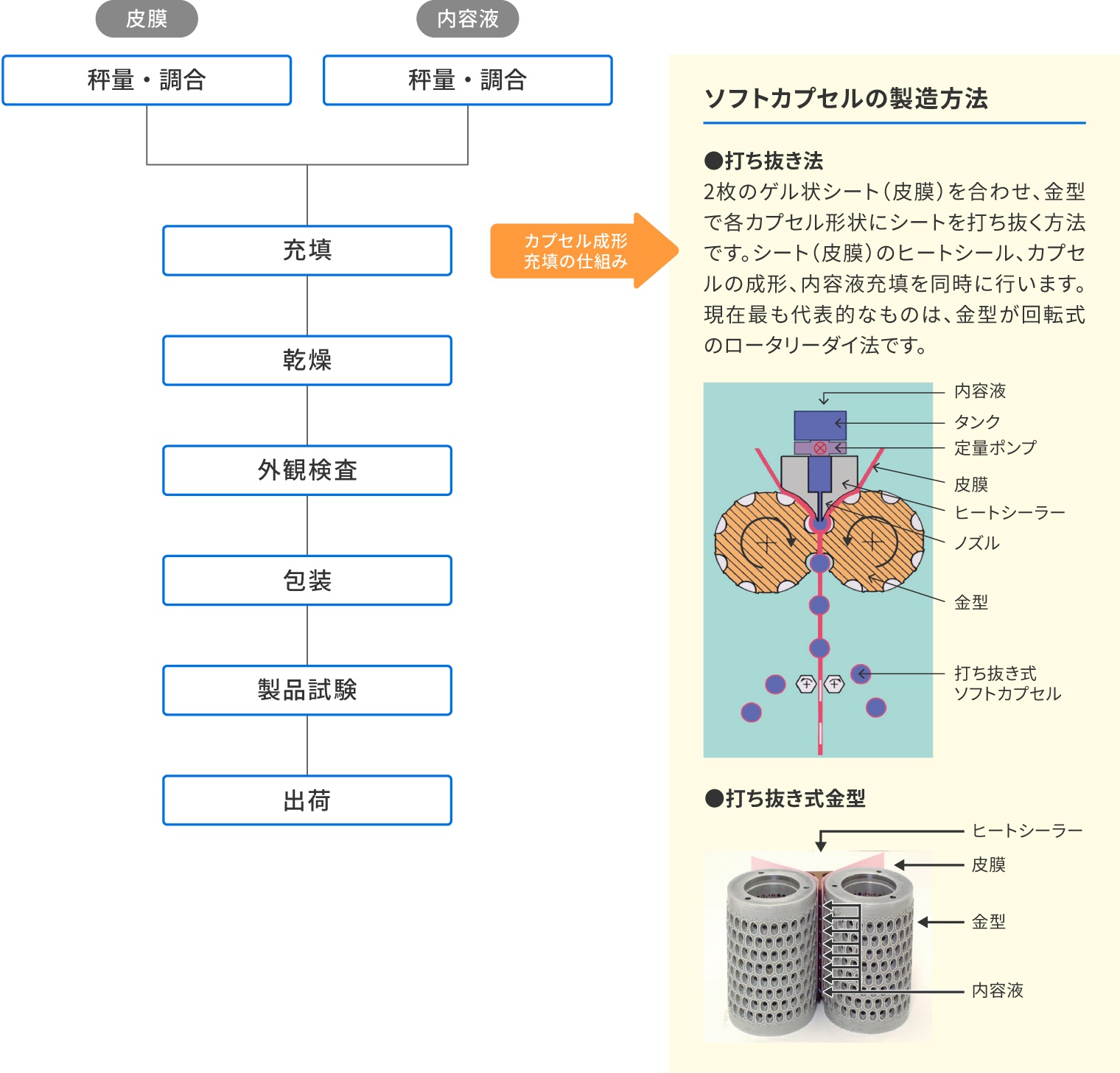 ソフトカプセルの製造方法 ●打ち抜き法　2枚のゲル状シート（被膜）を合わせ、金型で各カプセル形状にシートを打ち抜く方法です。シート（被膜）のヒートシール、カプセルの成形、内容液充填を同時に行います。現在最も代表的なものは、金型が回転式のロータリーダイ法です。　●打ち抜き式金型