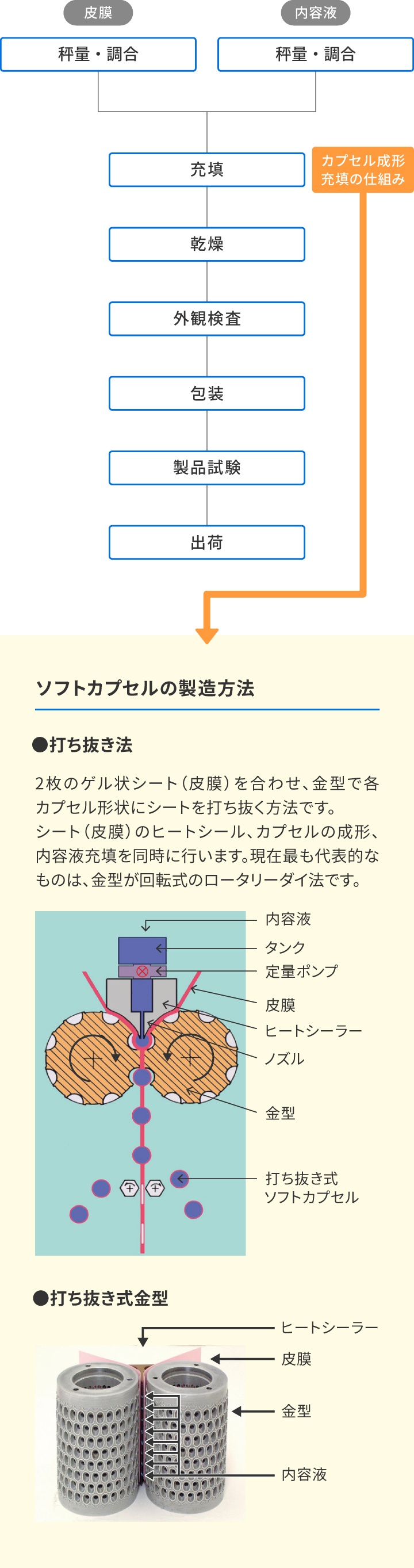 ソフトカプセルの製造方法 ●打ち抜き法　2枚のゲル状シート（被膜）を合わせ、金型で各カプセル形状にシートを打ち抜く方法です。シート（被膜）のヒートシール、カプセルの成形、内容液充填を同時に行います。現在最も代表的なものは、金型が回転式のロータリーダイ法です。　●打ち抜き式金型
